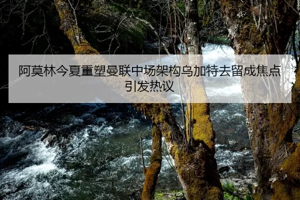 阿莫林今夏重塑曼联中场架构乌加特去留成焦点引发热议（xingkongyule）