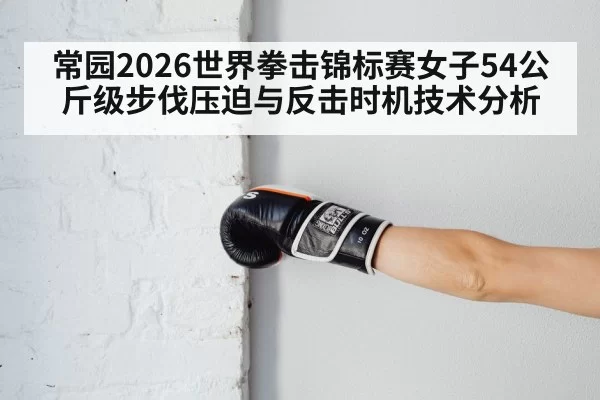 boxing counter punch training gloves